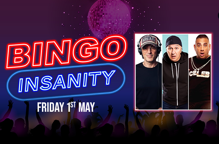 BINGO INSANITY